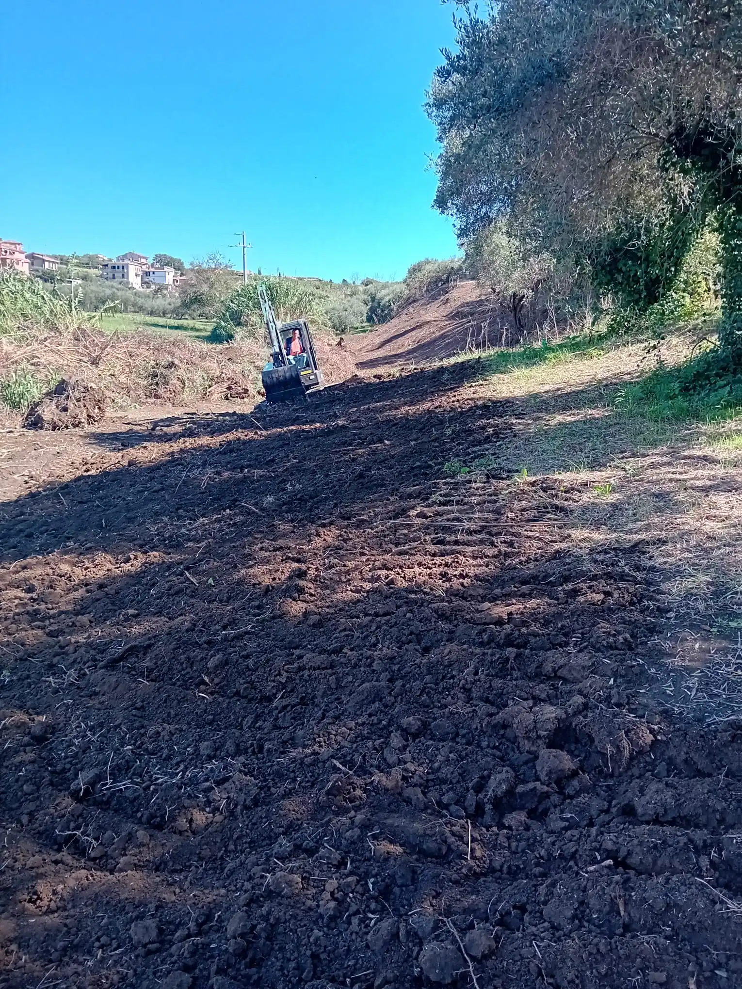 pulizia terreni a roma