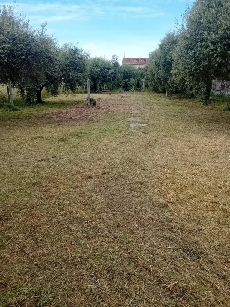 pulizia terreni a roma