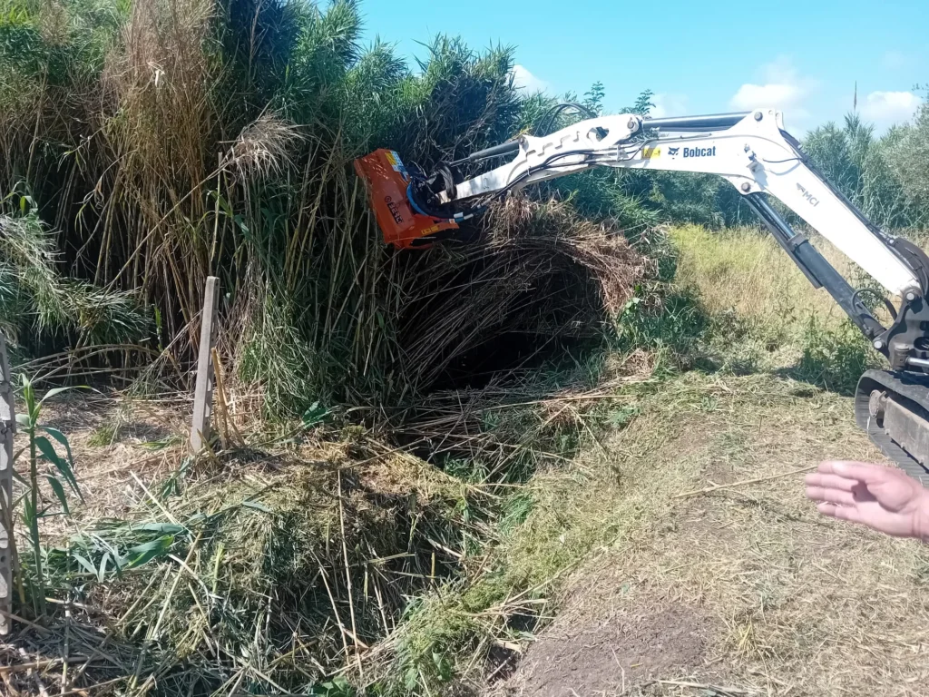 Trinciatura terreno a roma