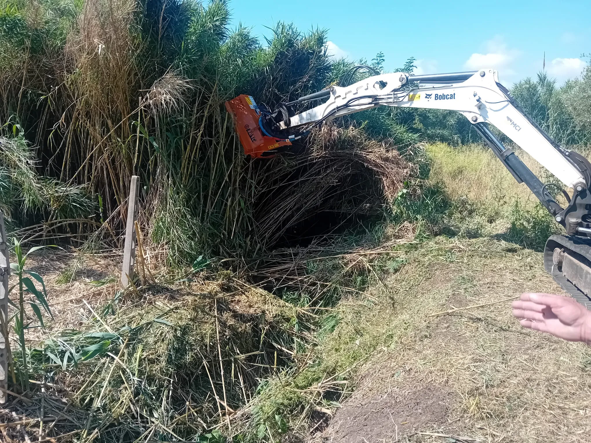 Trinciatura terreno a roma